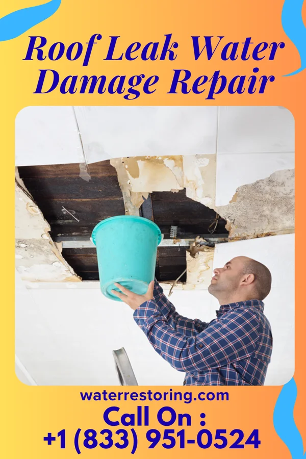 Roof Leak Water Damage Repair in Krum, TX
